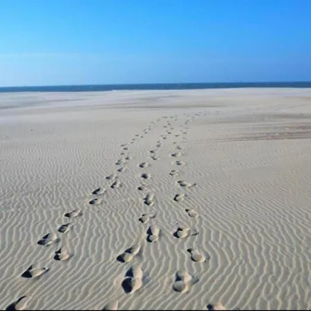 Apartamento In Near The Beach, Cleaning Included Nieuwpoort